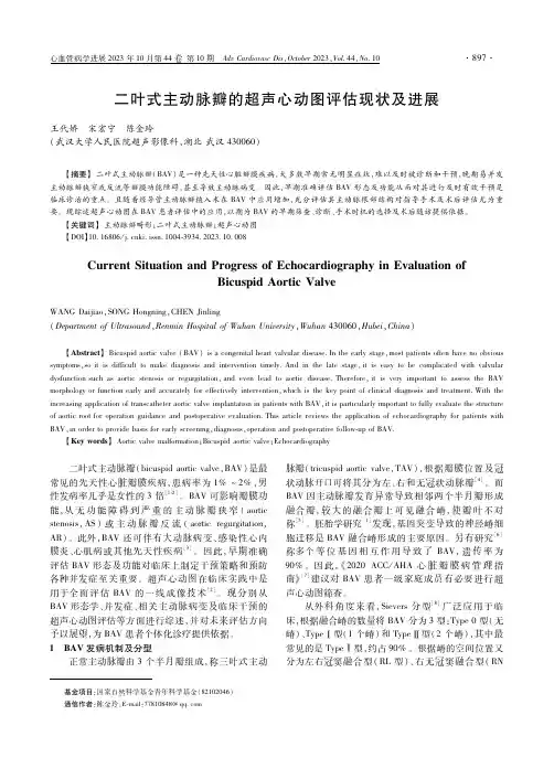 二叶式主动脉瓣的超声心动图评估现状及进展
