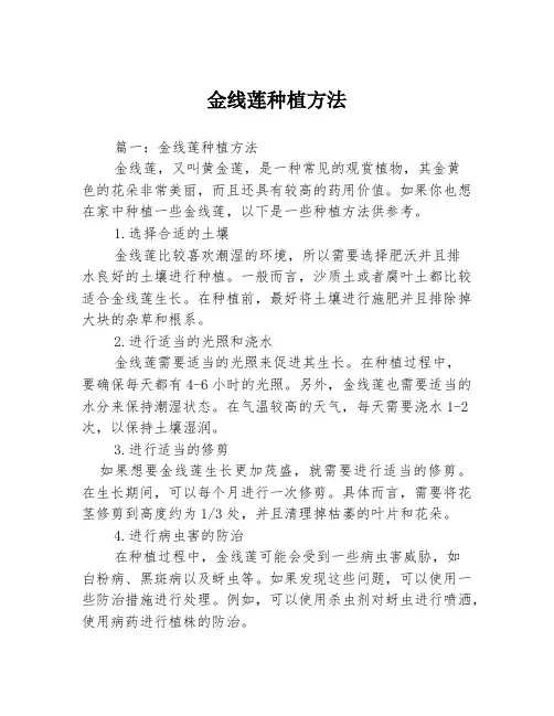金线莲种植方法