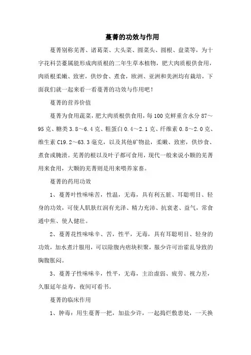 蔓菁的功效与作用