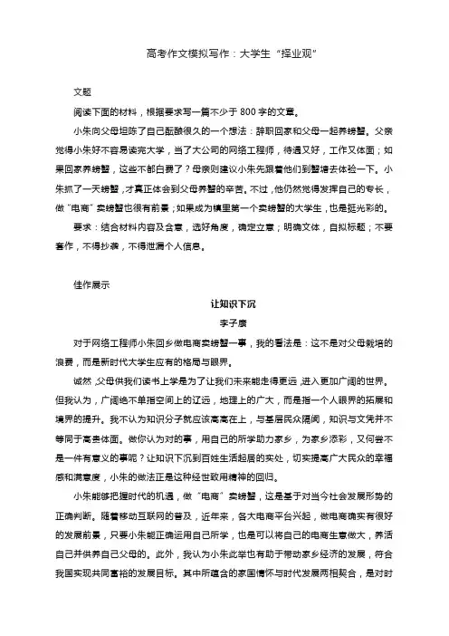 高考作文模拟写作：大学生“择业观”