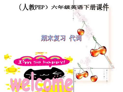 人教PEP版英语六下《期末总复习》一般代词PPT课件