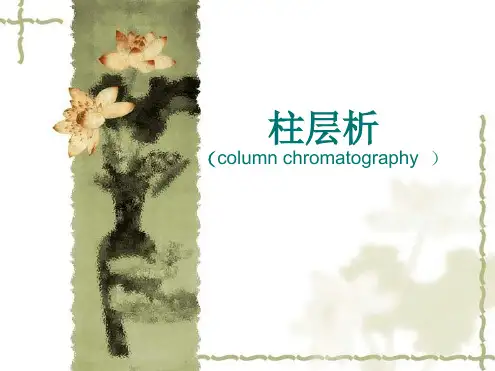 实验九 柱层析讲解