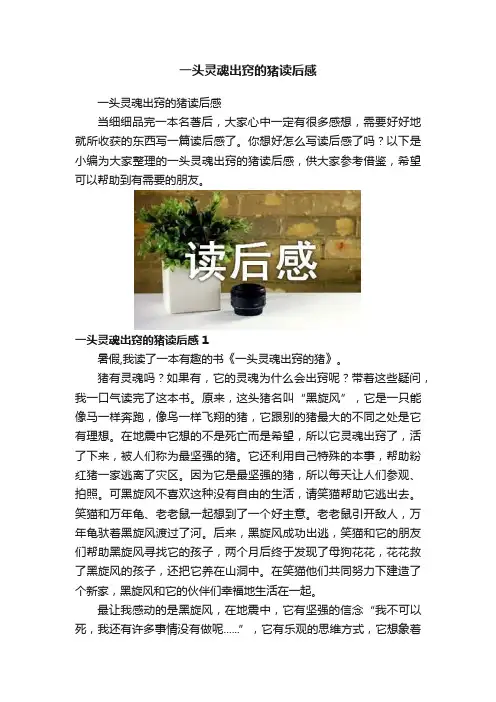 一头灵魂出窍的猪读后感