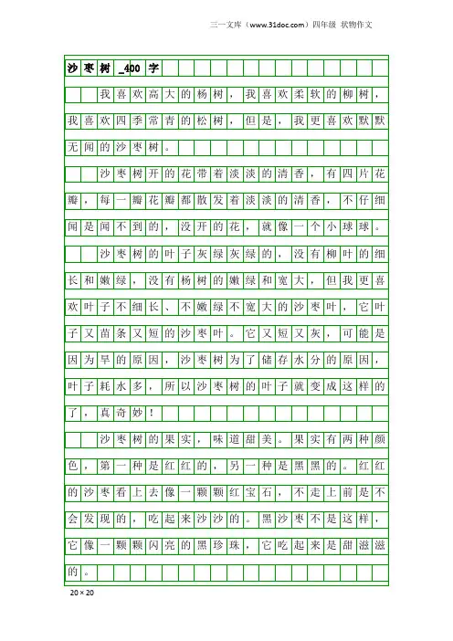 四年级状物作文：沙枣树_400字