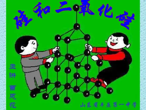 硅和二氧化硅 PPT