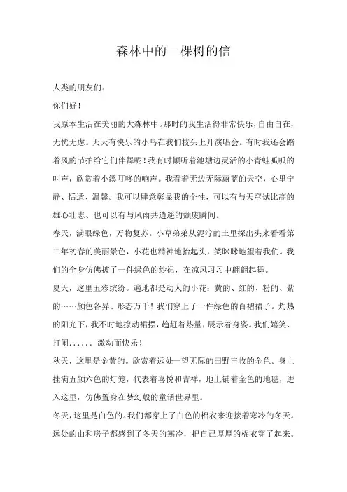 高三书信森林中的一棵树的信