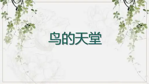 22鸟的天堂课件(共22张PPT).ppt