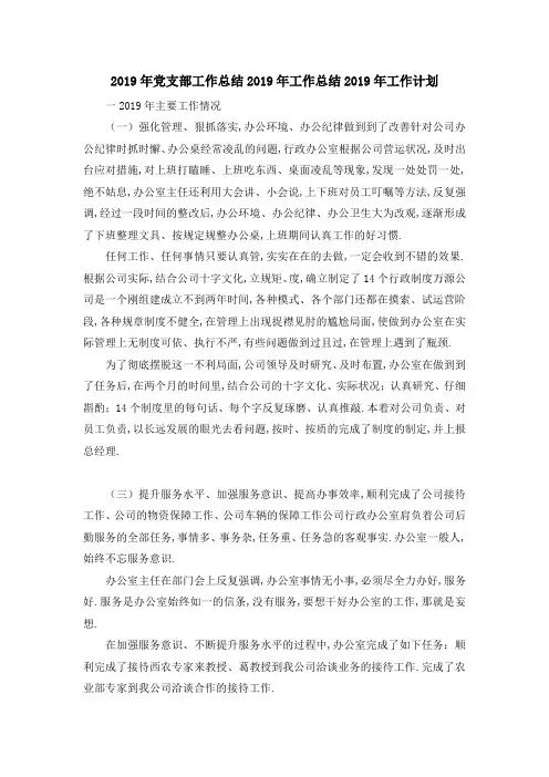 2019年党支部工作总结 2019年工作总结2019年工作计划 