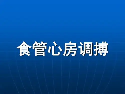 食管心房调搏.