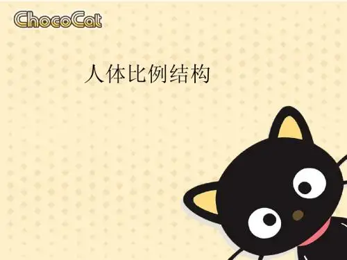 人体比例结构