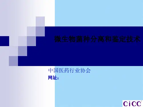 微生物菌种分离(共61张PPT)