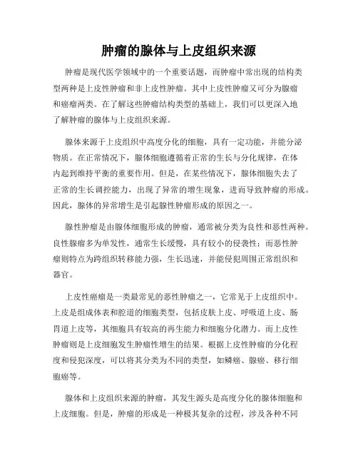 肿瘤的腺体与上皮组织来源
