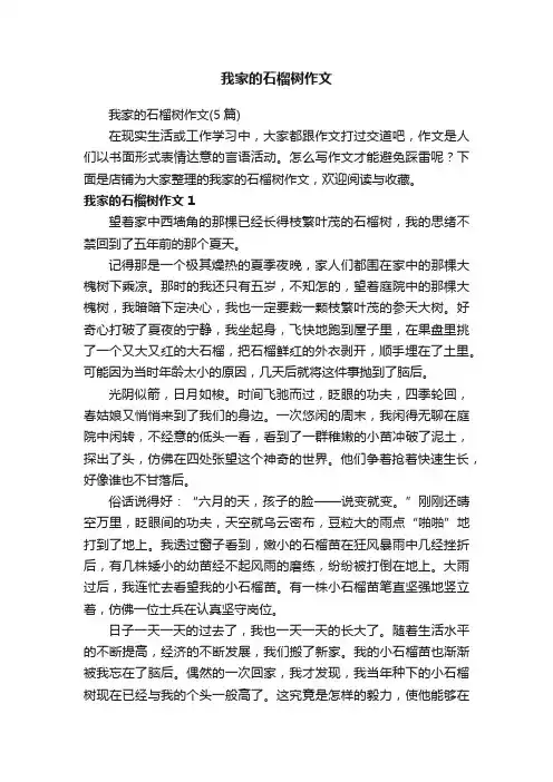 我家的石榴树作文