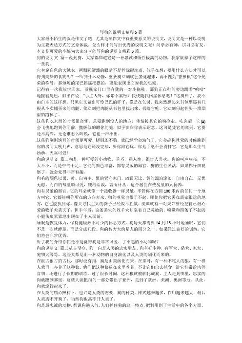 2023最新-写狗的说明文精彩5篇