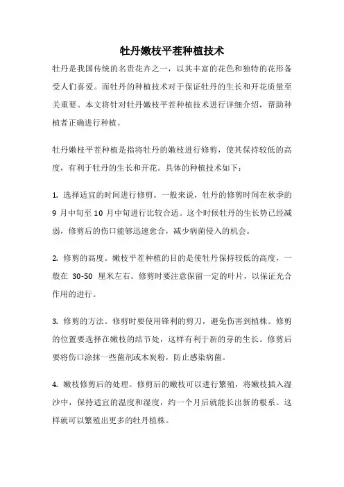 牡丹嫩枝平茬种植技术