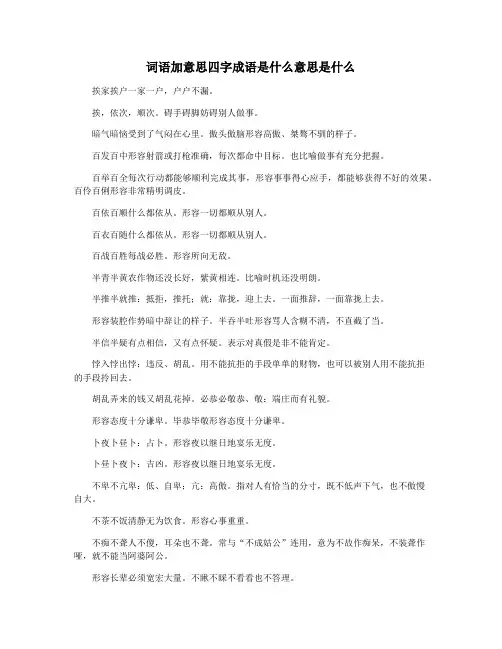 词语加意思四字成语是什么意思是什么