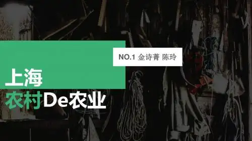 上海农村农业
