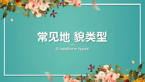 2023届高考地理一轮复习-课件-第四章地表形态的塑造--喀斯特地貌