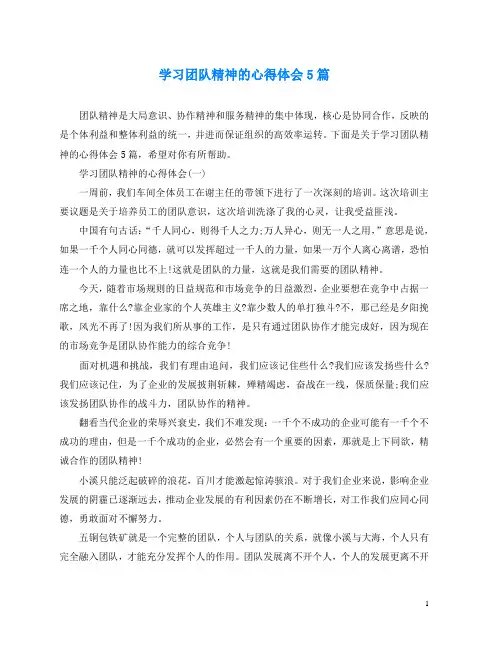 学习团队精神的心得体会5篇