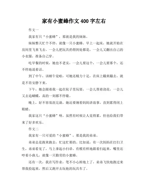 家有小蜜蜂作文400字左右