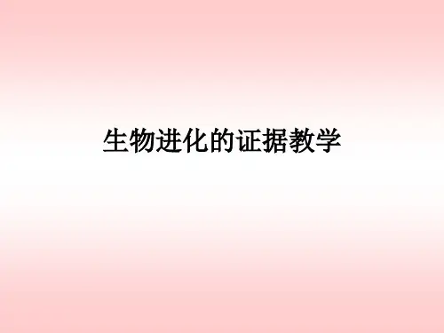 生物进化的证据ppt课件