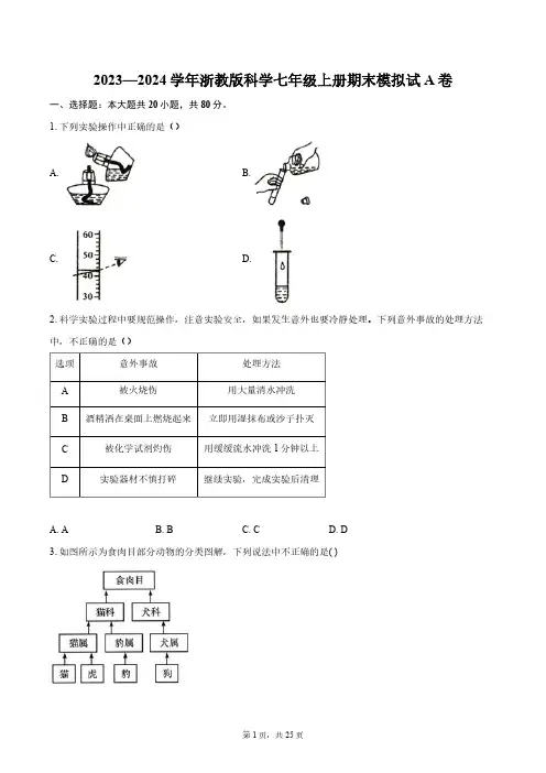 2023—2024学年浙教版科学七年级上册期末模拟试A卷(含解析)
