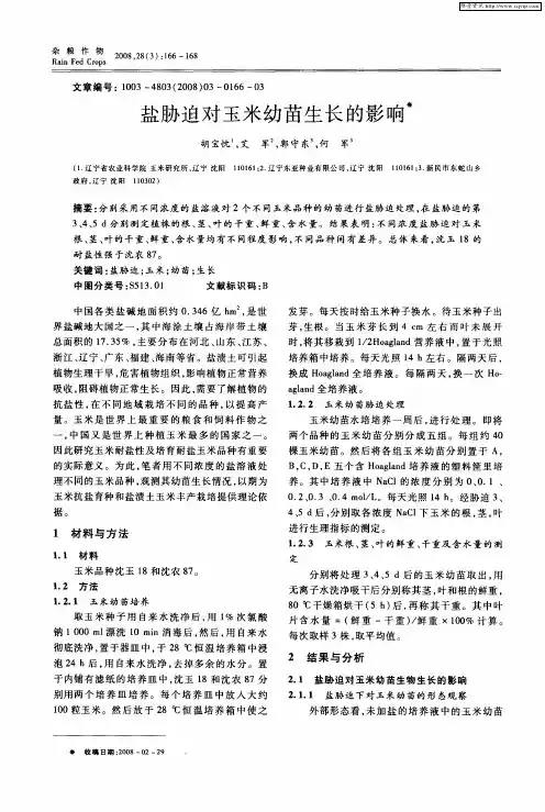 盐胁迫对玉米幼苗生长的影响
