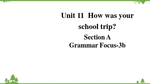 人教新目标(Go for it)版Unit 11 How was your school trip-
