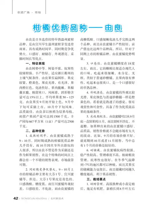 柑橘优新品种--由良
