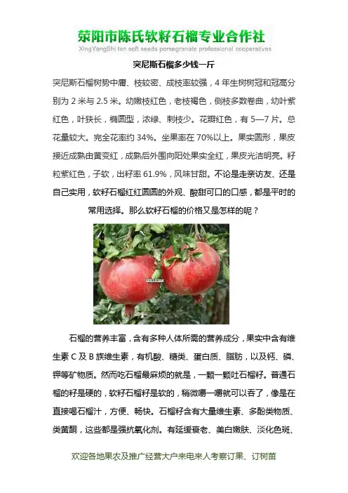 突尼斯石榴多少钱一斤