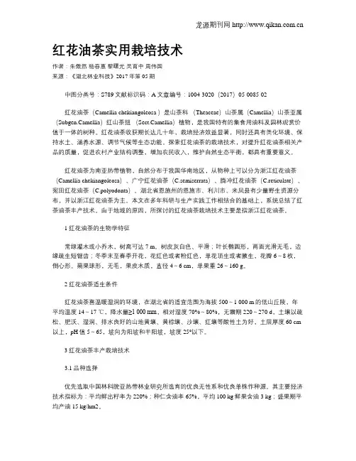 红花油茶实用栽培技术