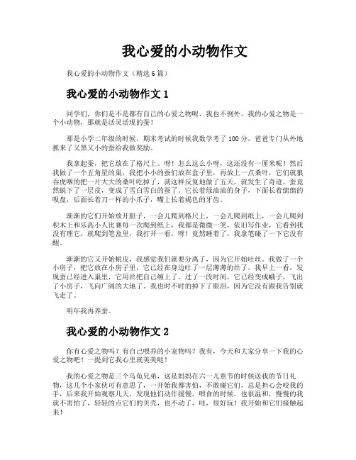 我心爱的小动物作文