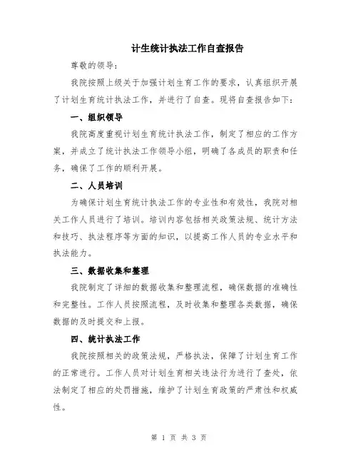 计生统计执法工作自查报告