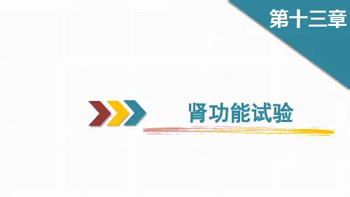肾脏功能检验(生物化学检验课件)