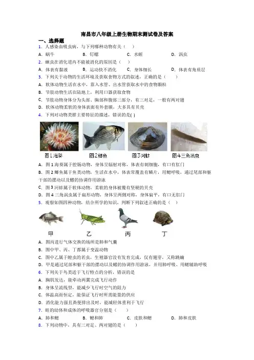 南昌市八年级上册生物期末测试卷及答案