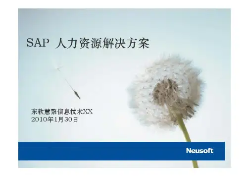 SAPHR功能介绍92174