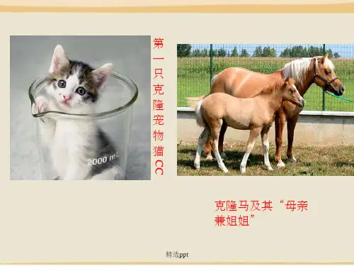 奇妙的克隆1完整ppt课件