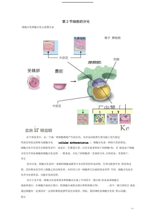 高中生物第四章细胞的增殖与分化4.2细胞的分化2素材浙科