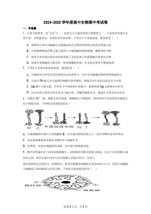 高一生物期中考试卷及答案