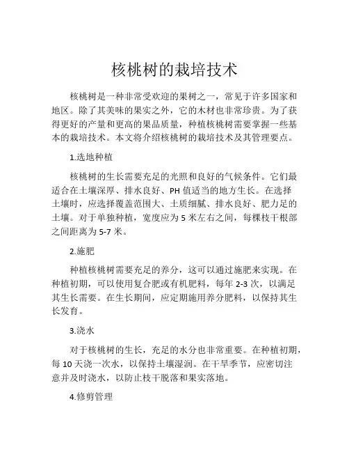 核桃树的栽培技术
