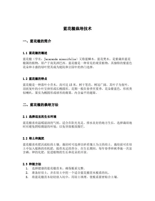 蓝花楹栽培技术