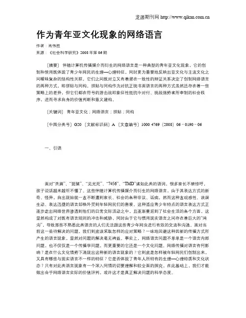 作为青年亚文化现象的网络语言