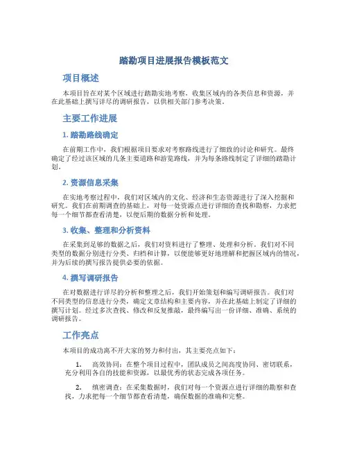 踏勘项目进展报告模板范文