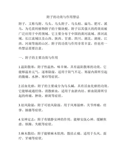附子的功效与作用禁忌