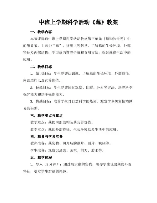 中班上学期科学活动《藕》教案