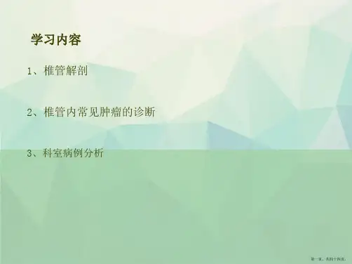 椎管内常见肿瘤的MRI诊断