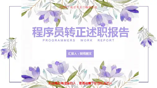 程序员转正述职报告PPT课件