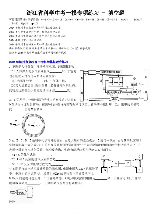 2024年浙江省科学中考三轮冲刺：  填空题3