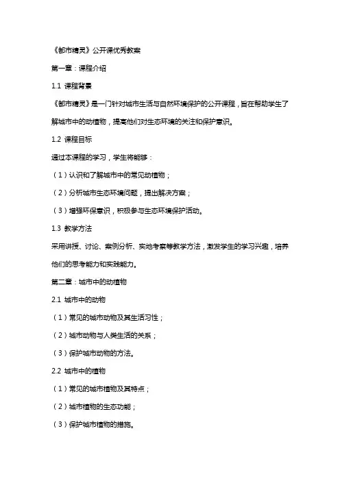 《都市精灵》公开课教案