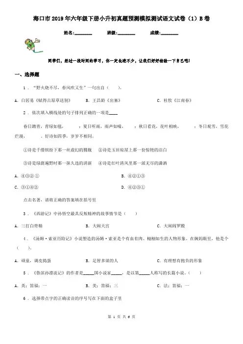 海口市2019年六年级下册小升初真题预测模拟测试语文试卷(1)B卷